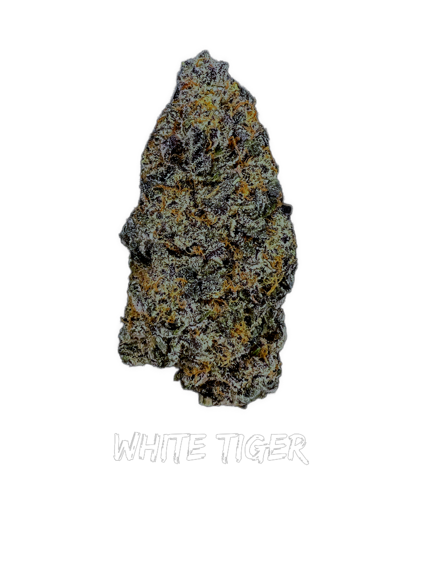 White Tiger