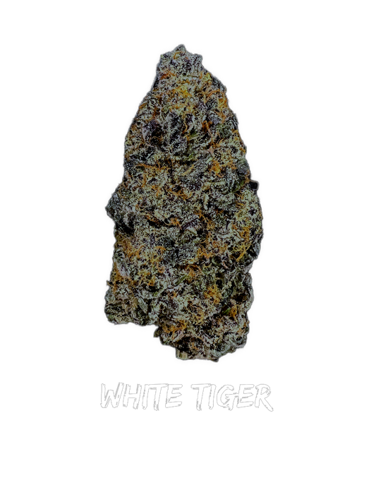 White Tiger