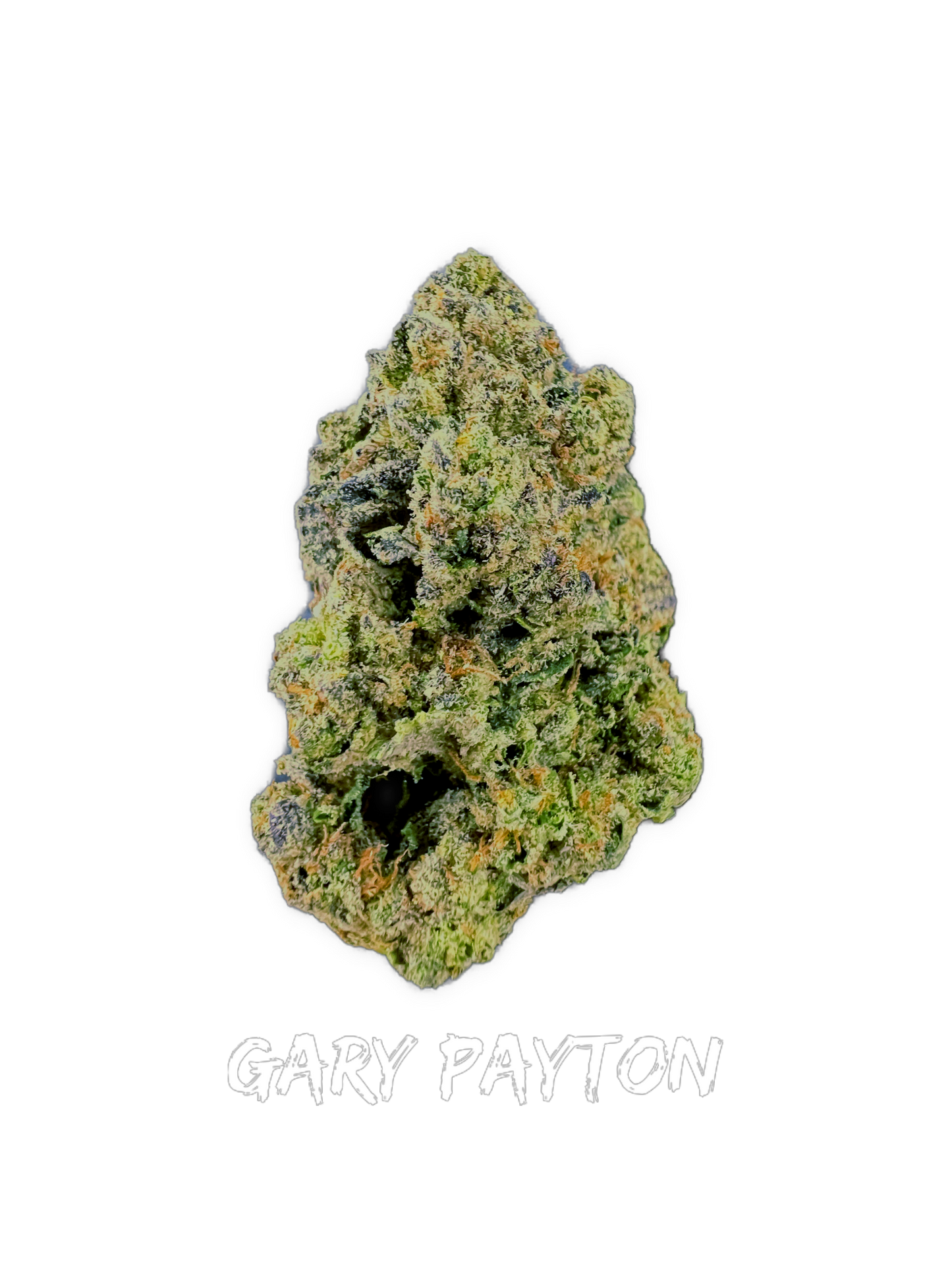 Gary Payton