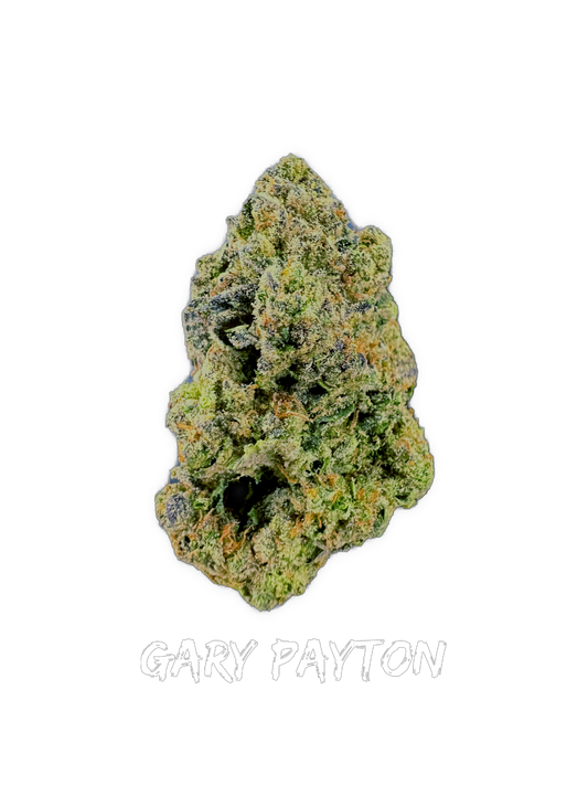 Gary Payton